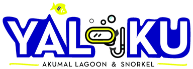 Laguna Yalku - Akumal Lagoon & Snorkel