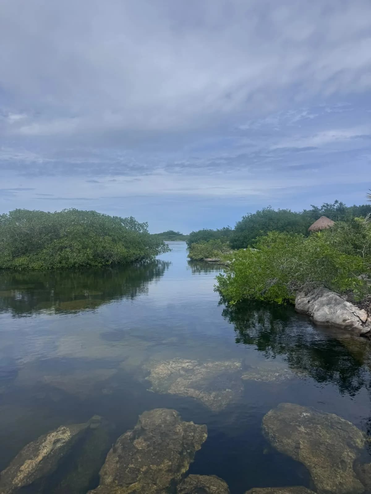 Canal de agua cristalina rodeado de manglar en la laguna de Yalku